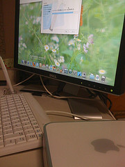 3656879292_fcae47971a_m