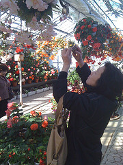 フラワーパーク