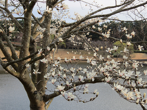 8582717200_238192a7d2