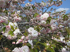 8670515859_755098d213_m