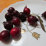 8970789080_a2b57acb66_q