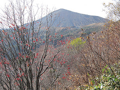 10756906714_f59ea3e871_m