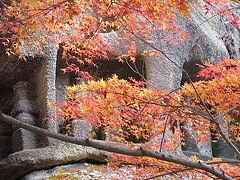 11261917616_44a64b35c7_m