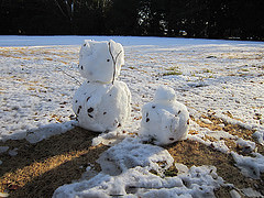 12403467683_c6f1737bff_m