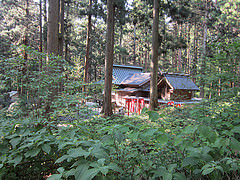 17848871489_0ec92abb5d_m